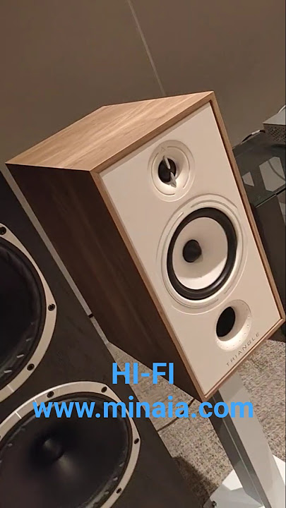 Fyne Auduo Vs Triangle loudspeakers #music #hifi #audiophile