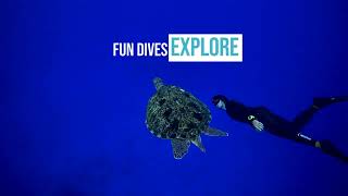 Apnea Adventure - Freediving Liveaboards Thailand - Similan & Surin Islands