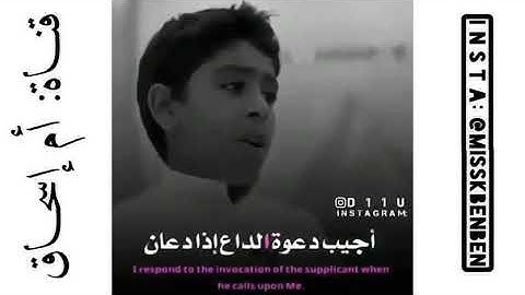 تلاوة جميلة جدا من سورة البقرة || القارئ الصغير أنس الشهاب || وإذا سألك عبادي عني فإني قريب 💗🌸💐☁