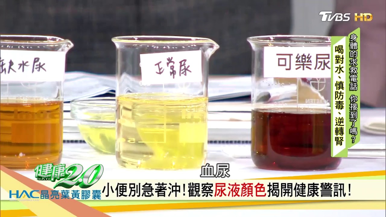 從尿液看健康 身體的求救訊號你接到了嗎 喝對 水 逆轉腎 健康2 0 完整版 Youtube