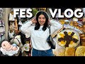      fes vlog 