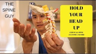 How to read your Cervical MRI