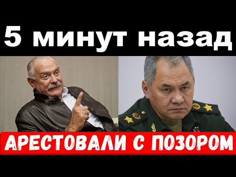 арестовали семью Шойгу , погиб российский музыкант-новости комитета Михалкова