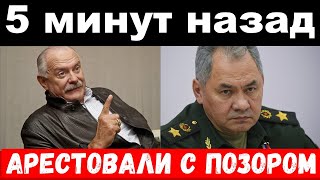 арестовали семью Шойгу , погиб российский музыкант-новости комитета Михалкова