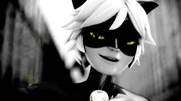 Chat Noir / Looking Like This / MEP / Part 9