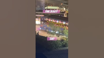 🚍Pink Beauty SVBT Non AC Seat & Sleeper #vlog #automobile #bus #travel #sleep #shorts #night