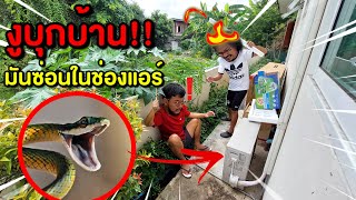 เหตุด่วนเหตุร้าย 🐍งูบุกบ้าน!!🐍 มันแอบในช่องแอร์!!