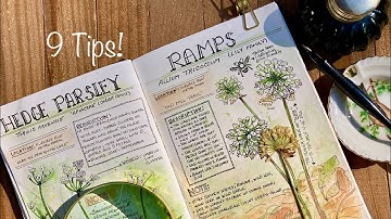 Beginner Design Tips for your Nature Journal!
