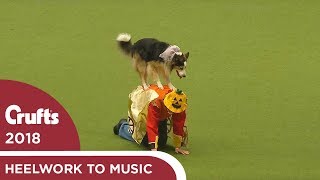 Freestyle Heelwork to Music Competition Part 3 | Crufts 2018