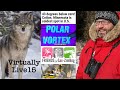 Virtually Live 15 Polar Vortex & The Wolf: Birding Sax-Zim Bog Feb 2021