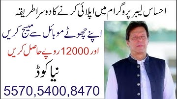 Ehsaas labour program online registration|ehsaas labour program code 2020|ehsaas labour program new