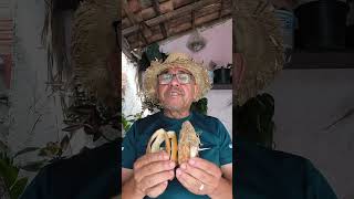 chá ☕ casca de laranja casca de maracujá raiz de cebolinha