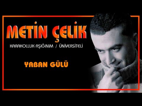 Metin Çelik - Yaban Gülü