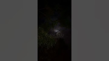 آيات قرانيه قصيره (ويزيد الله الذين اهتدوا هدى)سورة مريم ايه 76 ارح قلبك🤍.