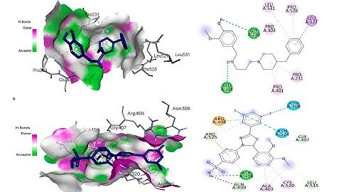 How to validate docking and display findings for 2D-QSAR: prepare, dock, and re-dock in detail