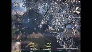 tesst  stream