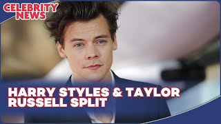 Harry Styles & Taylor Russell Split I Celebrity News