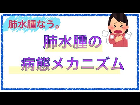 教科書をわかりやすく！「肺水腫の病態メカニズム」