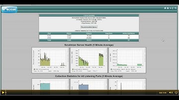 How to find the Netflow Status Report
