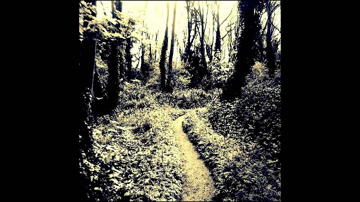 Luca Nieri - Forever Home
