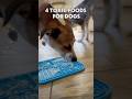 Safety for dogs! #dog #puppycam #dogmom #puppy #dogs #doglover #petsafety #dogtraining #dogtrainer