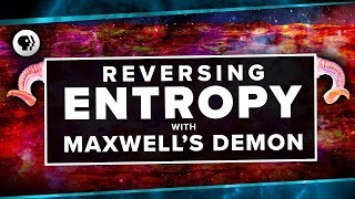 Reversing Entropy with Maxwell's Demon