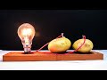 Free Energy Light Bulbs 220v using Potato(read description)