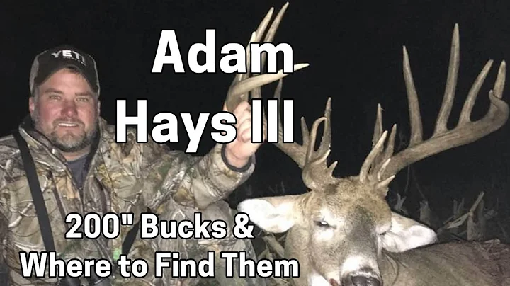 206 ADAM HAYS III - 200" Bucks & Where to Find The...