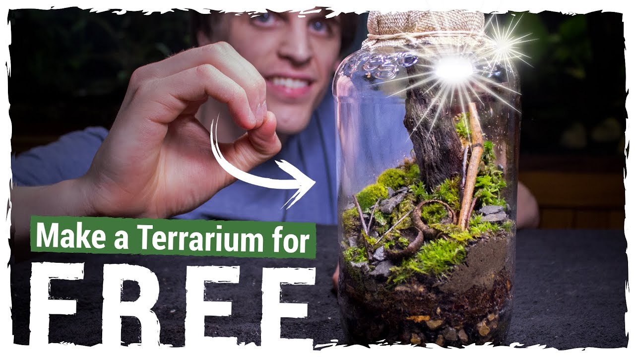 Make an AWESOME Terrarium for FREE!