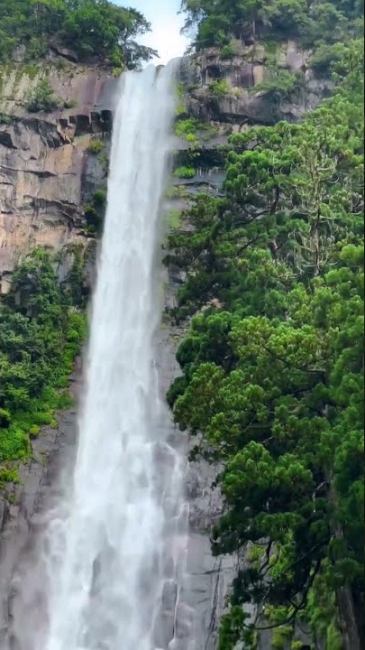 Nachi Falls #shorts #japan #travel