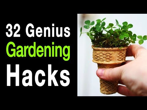 32 Gardening Hacks That Are Borderline Genius...
