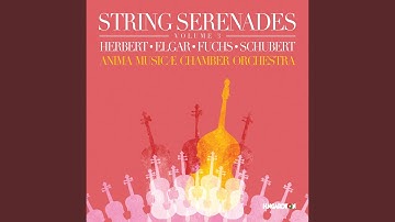 Serenade for String Orchestra in F major, Op. 12: No. 1 Aufzug. Tempo di Marcia