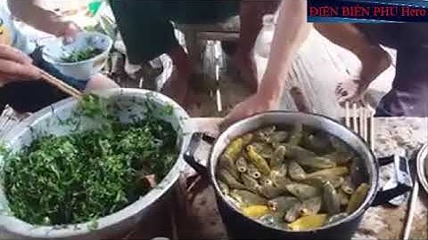 Món Ăn Kinh Dị - Gỏi Cá Nhảy Tây Bắc - Horror Food