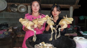 npaj 10 tus qaib pluas mov txais tos xyoo thiab txais tos cov nyab nus phooj ywg sawv daws