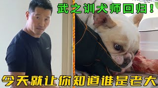 Download Lagu 法鬥對主人精神控製,護食護窩瘋狂咬人,沒想訓犬師直接把它家給拆了 MP3 Download Lagu 法鬥對主人精神控製,護食護窩瘋狂咬人,沒想訓犬師直接把它家給拆了 MP3