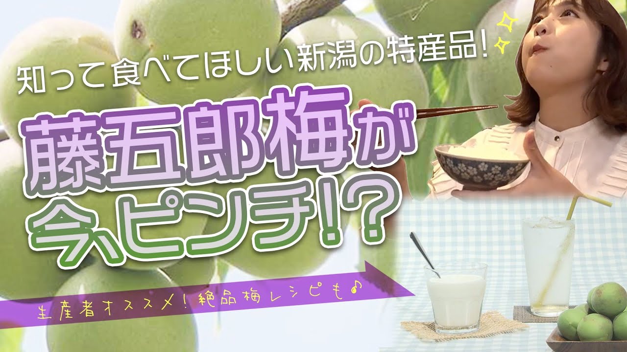 6月6日は梅の日】新潟のブランド梅「藤五郎梅」がピンチ！？ その理由