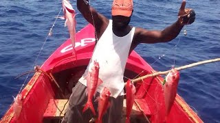 The Lines Of #queen snappers *must watch*