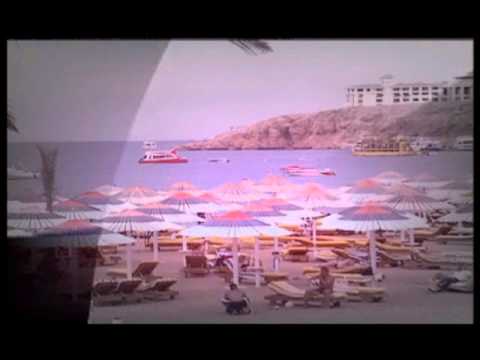 رائعة حمزة نمرة بلدي يا بلدي إخراج ليلى عبدالمنعم