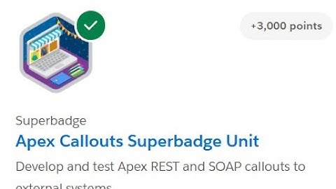 Accessibility Project Billing || Apex Callouts Superbadge Unit | Challenge 3