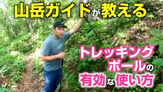 【Howto】トレッキングポール上手に使えてますか？？今更聞けないトレッキングポールHowTo！