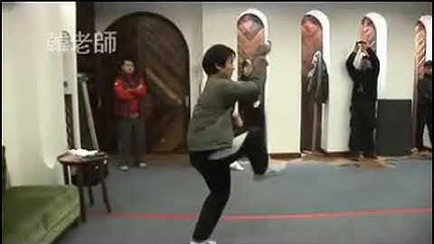 Xing Yi Quan Linking forms 形意拳 - 五行连环拳 Wu Xing Quan