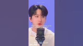 Stray Kids : Sorry, I Love you #좋아해서미안 sub indo