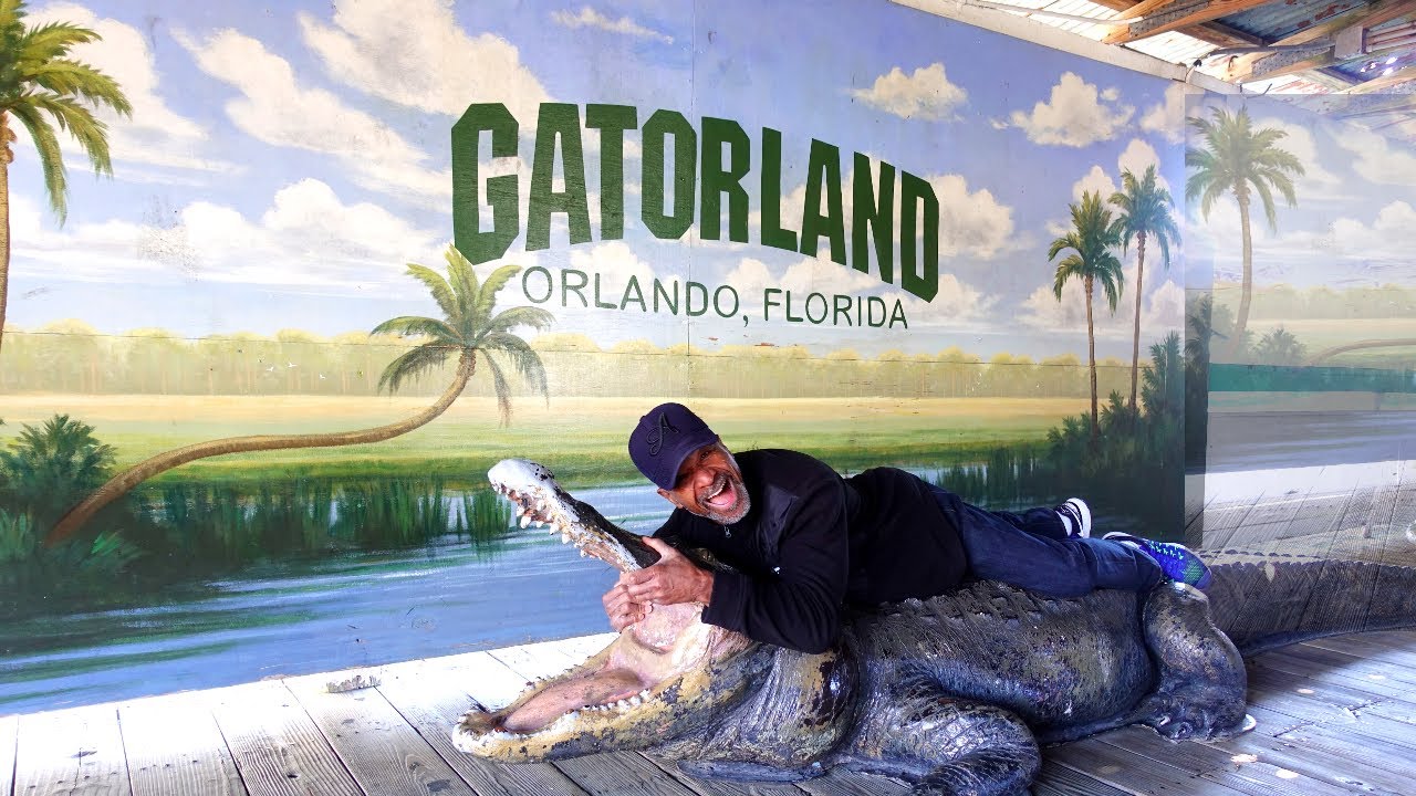 Our Gatorland Orlando Experience! || Feeding Gators, Ziplining over