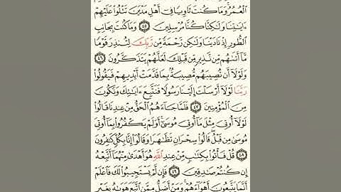 ماهر المعيقلي سورة القصص مكتوبة صفحة 391 مصحف المدينة المنورة جودة عالية