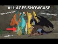 Huge ages news fledgling model showcase size comparison new info etc  wings of fire roblox