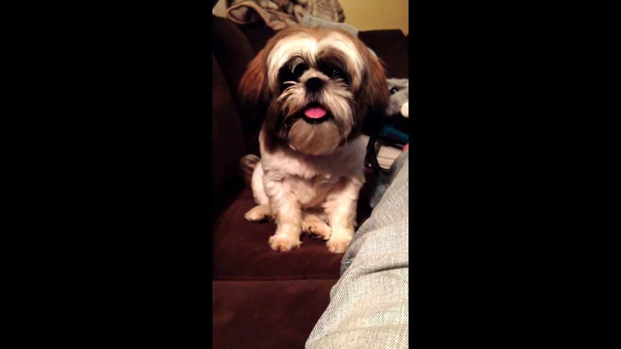 Trinity (5 mos) bein her cute lil self.... video editing software free