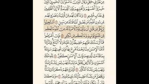 تلاوة سورة الشورى من 47 إلى 53
