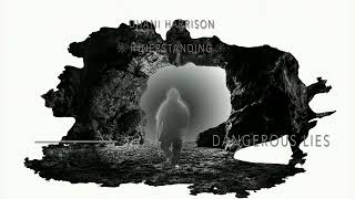Watch Dhani Harrison Dangerous Lies video