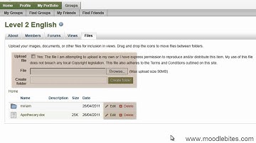 MaharaBites - Group Files
