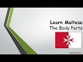 Learn maltese  exploring the vocabulary of body parts